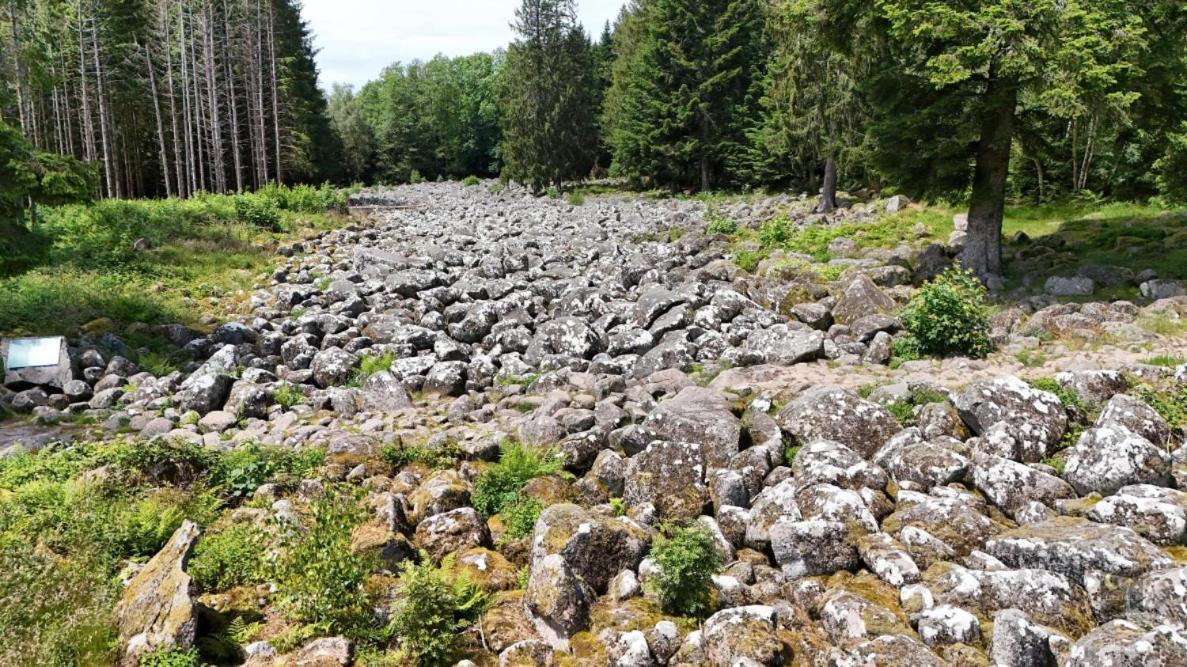 Chalet Aster 3 Etoiles Arrentes-de-Corcieux Екстер'єр фото