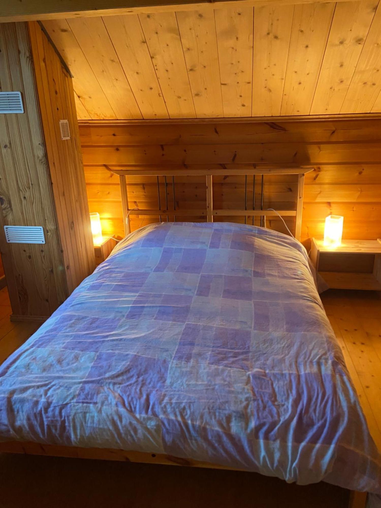 Chalet Aster 3 Etoiles Arrentes-de-Corcieux Екстер'єр фото